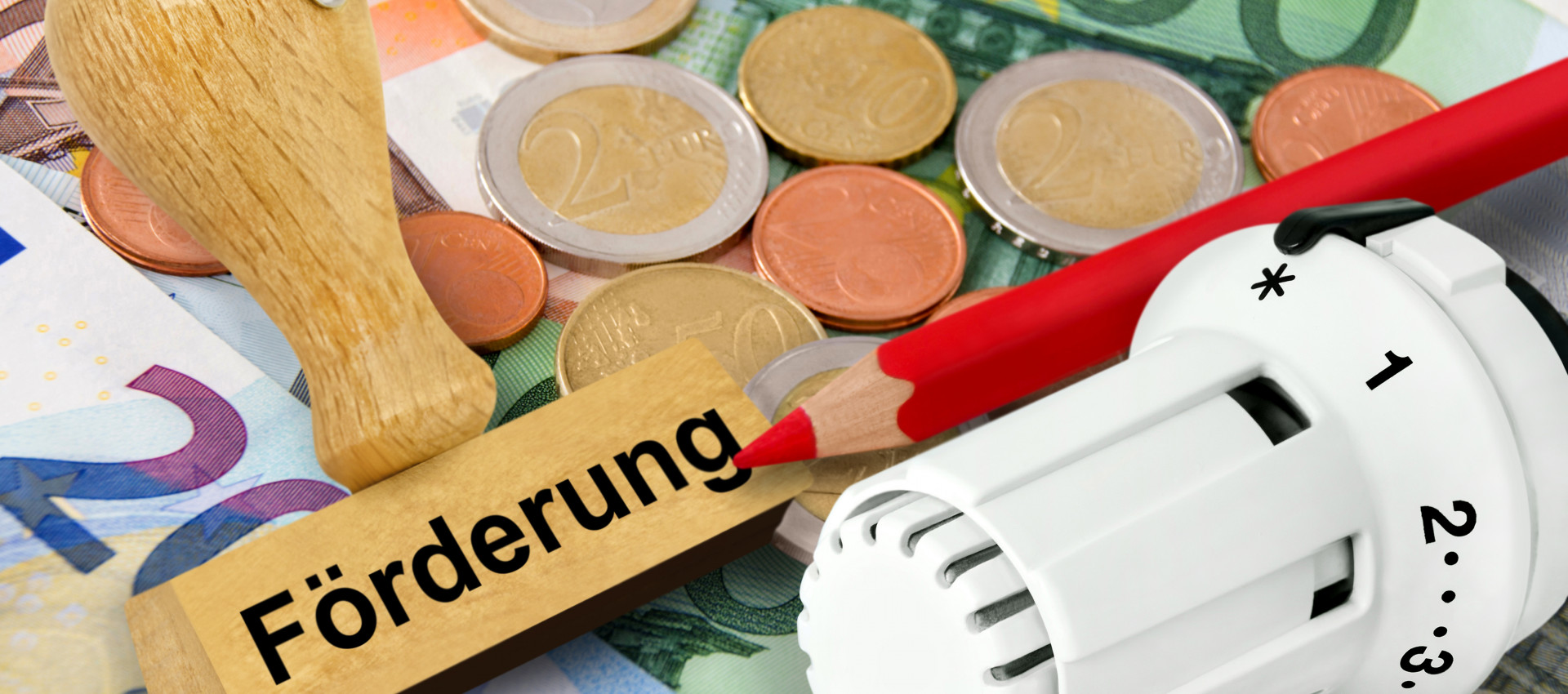 Staatliche F&ouml;rderung f&uuml;r W&auml;rmepumpen: bis zu 30 % sparen beim Heizungstausch